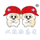 双胞胎集团